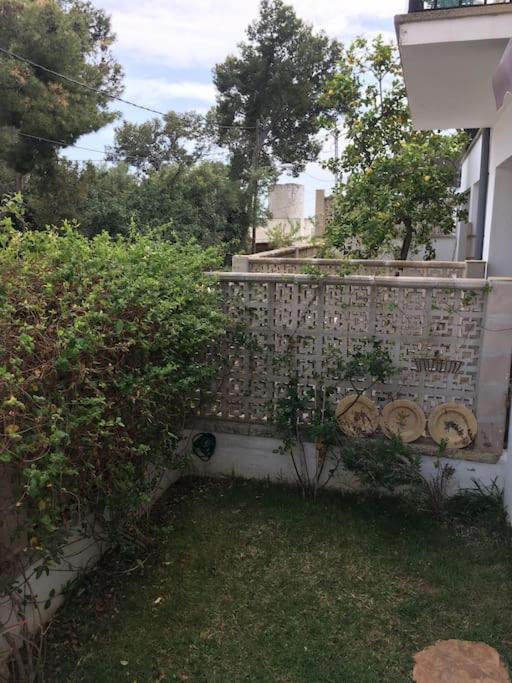 Casita Limon Palma